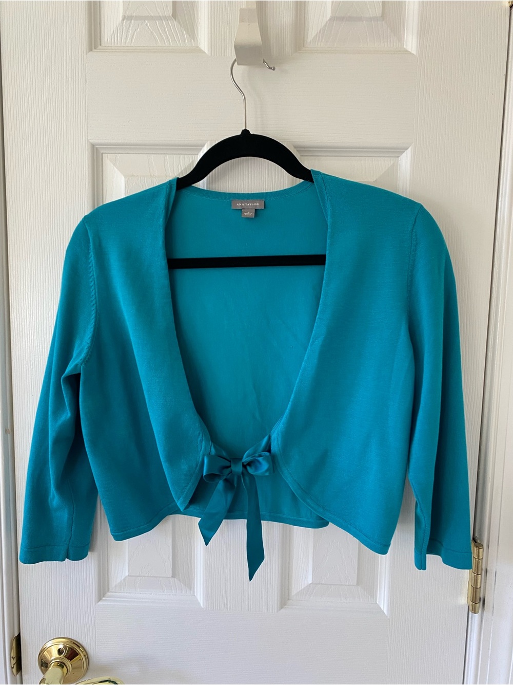 Ann Taylor Teal Knit Top